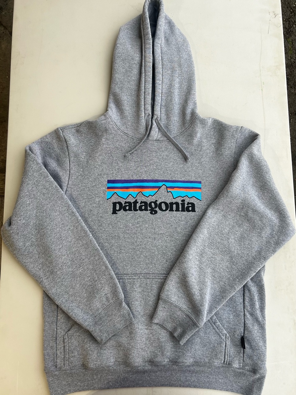 Patagonia Gray Crewneck Hoodie with Blue and Teal Stripe Logo